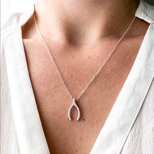 New Spring Dainty Delicate Cute Wishbone Necklace